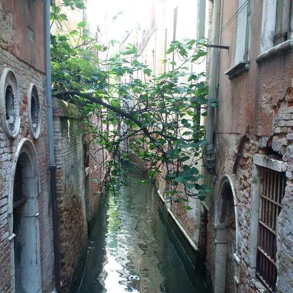 Meet your Posher, Joann - Picture 1 of 1